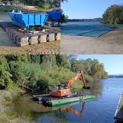 Galicia ensaya en Tui un plan piloto para retirar la planta invasora Egeria densa del ro Mio