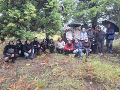 Salceda de Caselas celebr una jornada de setas y hongos guiada por el bilogo Manuel Rey