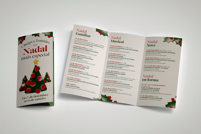 Tomiño inaugura la Navidad 2025 con un gran espectáculo de videomapping en la Casa del Concello Tomiño inaugura la Navidad 2025 con un gran espectáculo de videomapping en la Casa del Concello