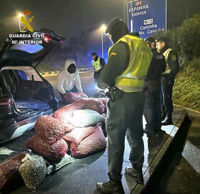 Intervenidos 1.400 kilos de almejas y berberechos en la A3 de Valen�a en un operativo hispano-luso