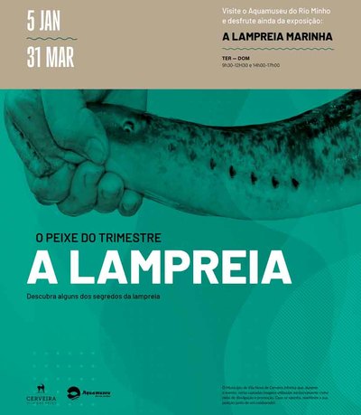 La pesca de la lamprea del Mi�o, protagonista de una nueva exposici�n en el Aquamuseu de Vila Nova de Cerveira