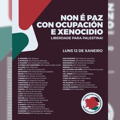 El Baixo Mi�o vuelve a alzar la voz por Palestina con concentraciones simult�neas 