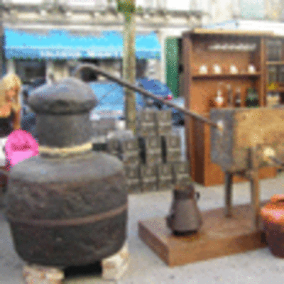 ESPECIAL - FEIRA DO XAMON O VIO E A FLOR NA CORREDOIRA DE TUI