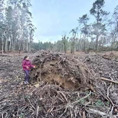 Terra Grovii alerta sobre la amenaza a un yacimiento �nico en Salvaterra de Mi�o