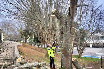 Caminha refuerza el espacio p�blico con mantenimiento y mejoras en todo el municipio