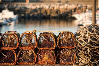 La Confrar�a de A Guarda alerta de da�os -irreversibles- si no se autoriza faenar este s�bado y domingo