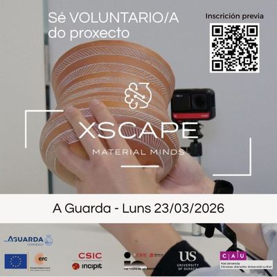 A Guarda busca voluntarios para el proyecto XSCAPE-Material Minds del CSIC