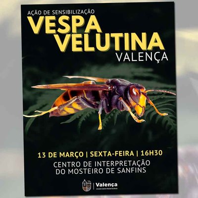 Apicultores de Valen�a participar�n en una sesi�n formativa sobre la vespa velutina