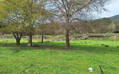 El traslado del Punto Limpio de A Guarda permitir� impulsar nuevas infraestructuras deportivas en A Sangri�a