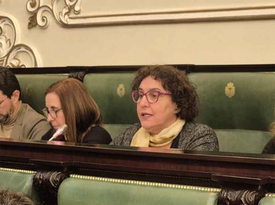 Oposici�n pol�tica a los e�licos en Oia, Baiona y Gondomar: el BNG presenta moci�n en la Diputaci�n