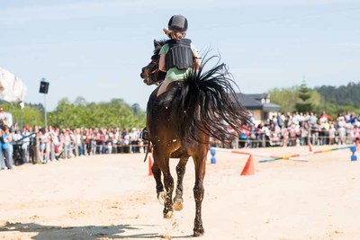 La tradici�n cabalar regresa con fuerza a Tui en las Festas de San Telmo 2026