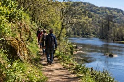 Andaina Xeomineira para descubrir antiguas minas de oro romanas en Salvaterra de Mi�o