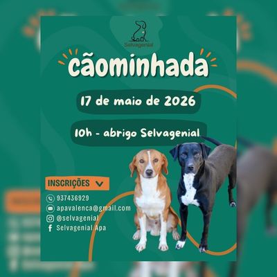 Valen�a organiza una -Caominhada- solidaria para promover el bienestar animal y la adopci�n