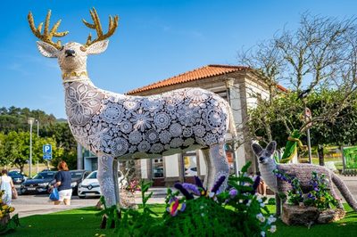 Vila Nova de Cerveira llevar� -O Crochet Sai � Rua- a las Festas do Povo de Campo Maior