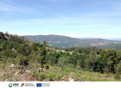 Vila Nova de Cerveira impulsa acciones de prevenci�n de incendios
