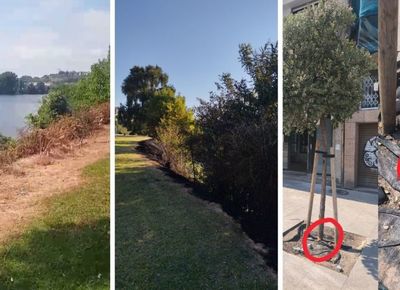El Concello de Tui pide colaboraci�n ciudadana para esclarecer varios actos vand�licos contra el patrimonio natural