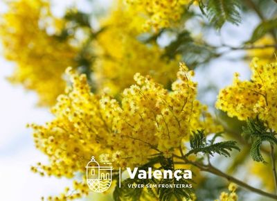 Valen�a ense�a a combatir las plantas invasoras con un taller pr�ctico por el D�a Mundial de la Conservaci�n de la Naturaleza