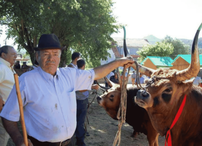 Mon�ao se prepara para un fin de semana rural en la Feira do 27 de Ceivaes