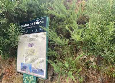 La Comunidad de Montes de A Guarda reclama por tercera vez la limpieza del Castro da Forca