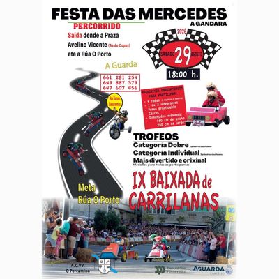Velocidad, ingenio y creatividad sobre ruedas en la IX Baixada de Carrilanas de A Guarda