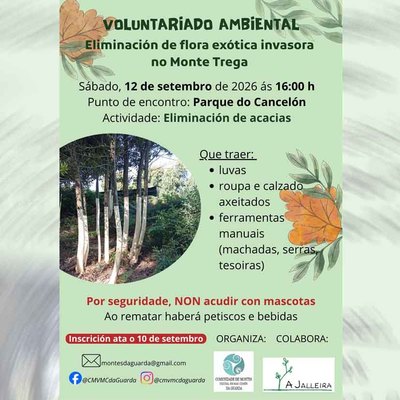 A Guarda organiza una jornada de voluntariado ambiental para eliminar acacias en el Monte Trega