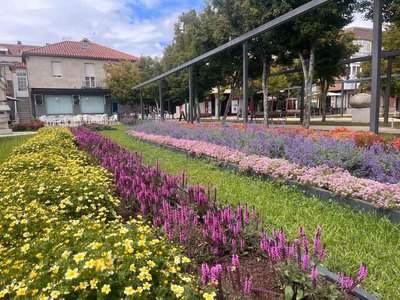 Las plazas de O Seixo y A Mina estrenan nuevos jardines inspirados en la identidad viverista de Tomi�o