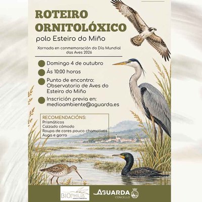 Ruta por el Estuario del Mi�o para descubrir sus aves este 4 de octubre en A Guarda