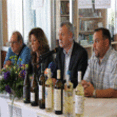 ESPECIAL - PRESENTACIN FESTA DA VENDIMIA 2011 NO ROSAL