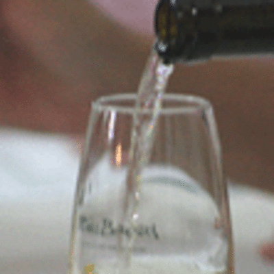 ESPECIAL - CATA DE VIOS CON MARIDAXE NA I FESTA DA VENDIMIA EN SAN MIGUEL - O ROSAL