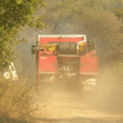 ESPECIAL - UN FUEGO FORESTAL AFECT EN LA TARDE DEL SBADO A GOIN