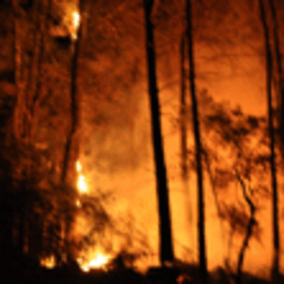 ESPECIAL - INCENDIO FORESTAL EN O PICN-FORNELOS EN EL CONCELLO DE O ROSAL