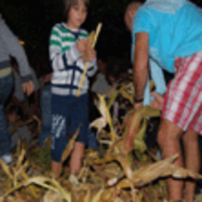 ESPECIAL DESFOLHADA TRADICIONAL EN VILANOVA DE CERVEIRA