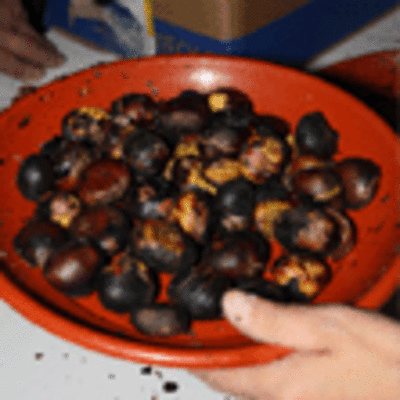 ESPECIAL - MAGOSTO SOCIALISTA NA ALAMEDA DE A GUARDA