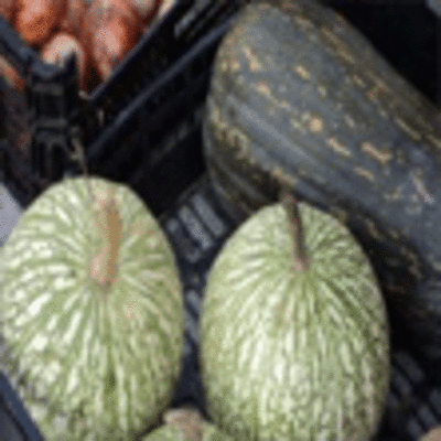 CAMINHA ACOLHE FEIRO DE TRADIES SBADO