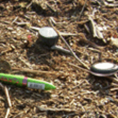 POLICA LOCAL Y GUARDIA CIVIL BUSCAN AL PRESUNTO AUTOR DE VARIOS ROBOS EN VEHCULOS EN A GUARDA