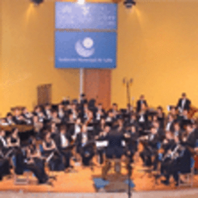 CONCERTO DA BANDA DE LALN HOXE SBADO 25 DE FEBREIRO DE 2012 NO AUDITORIO DO ROSAL