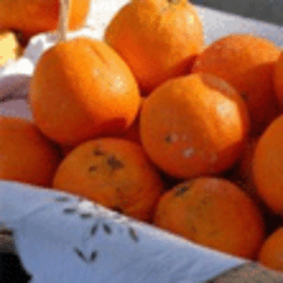 FEIRO DE CARNAVAL NAS DUAS VILAS CAMINHENSES