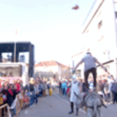 ESPECIAL - CORRIDA DO GALO EN FORNELOS - O ROSAL