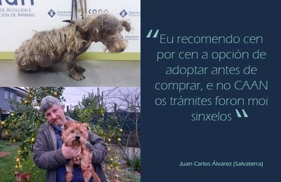 Arranca a campaña -Abraza un CAAN- da deputación para seguir a promover a adopción e a tenenza responsable de animais
