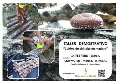 O Rosal acolle este venres un Taller demostrativo de Cultivo de shiitake en madera