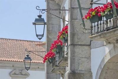 Câmara reabre atendimento ao público e mercados municipais de Caminha e Vila Praia de Âncora