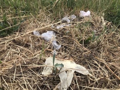 O concello da Guarda apela á responsabilidade da cidadanía sobre as medidas de prevención e o medio ambiente