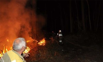 A Xunta destina 1m? á contratación de 71 persoas desempregadas da provincia de pontevedra para a prevención de incendios
