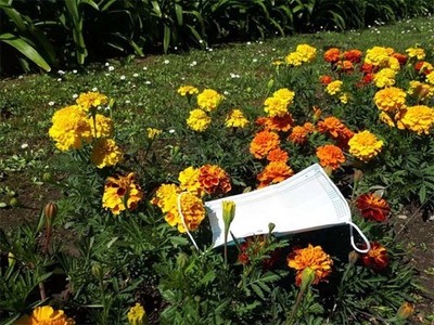 Cerveira: Pela saúde pública e pelo ambiente, não deite as máscaras ao chão