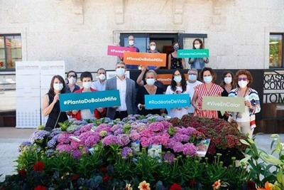 A Deputación envórcase no apoio ao viveirismo da planta ornamental e da flor cortada do Baixo Miño duramente castigado pola covid19