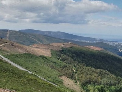 Realizada limpeza de 130ha de rede primária e 30kms de rede viária florestal