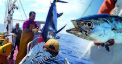 Orpagu, Premio Alimentos de España 2019