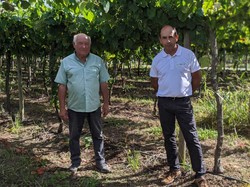 En Viñas e Terras do Pazo diseñan a viticultura do futuro