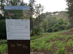 C21 se congratula por la reciente puesta en valor do conjunto de grabados rupestres situados en Randufe pero solicita la ejecución del Plan REC - TUI