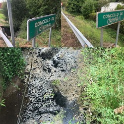 Vecinos alertan de un vertido incontrolado en el Río Tollo entre Tomiño y O Rosal